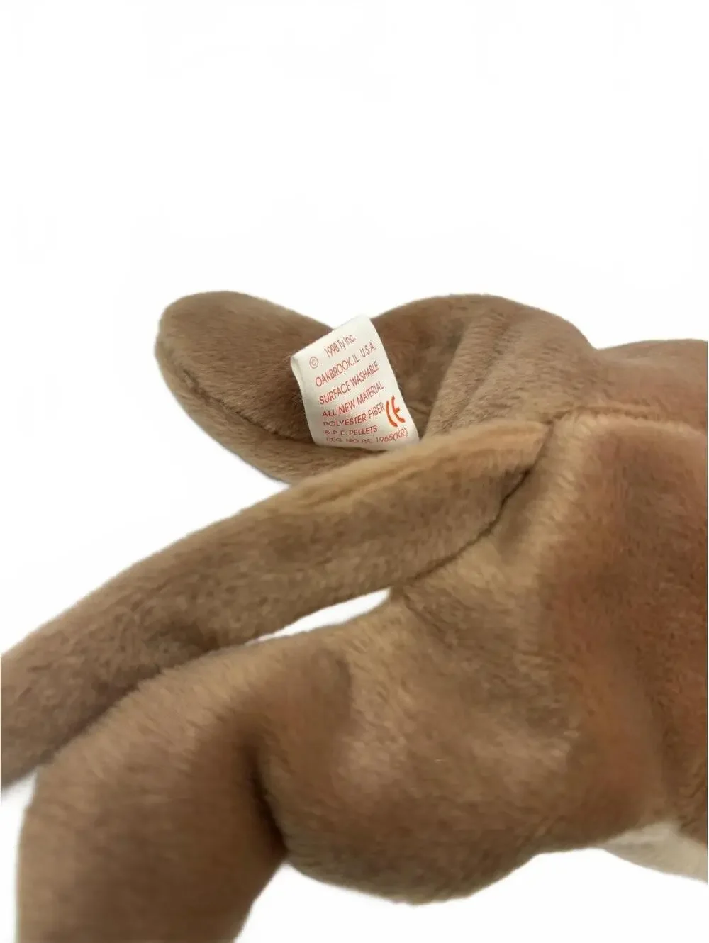 Ty Canyon Beanie Baby Full Size 9